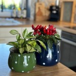 Keramični lonec Deco 02.700.15